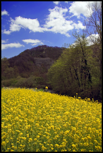 Riserva Naturale Zompo lo Schioppo
